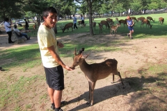 Nara Park